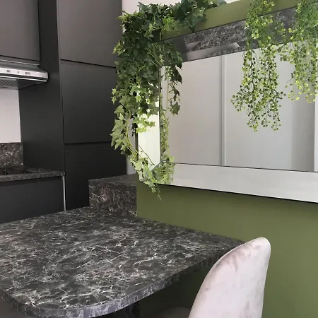 Palais Gioffredo Place Massena Appartement
