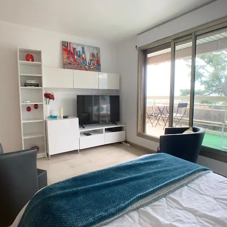Apartment Nice, Grand Studio - Piscine - Terrasse Vue Mer Nice