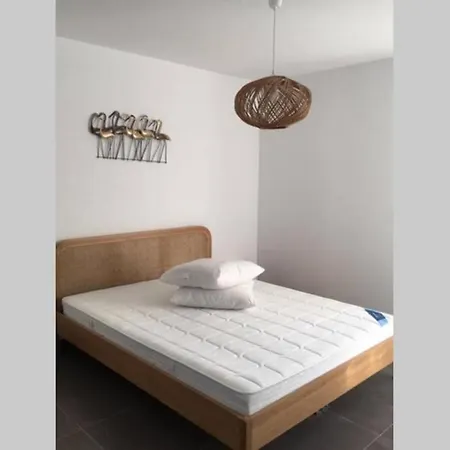 Nice Cimiez Apartment Nice