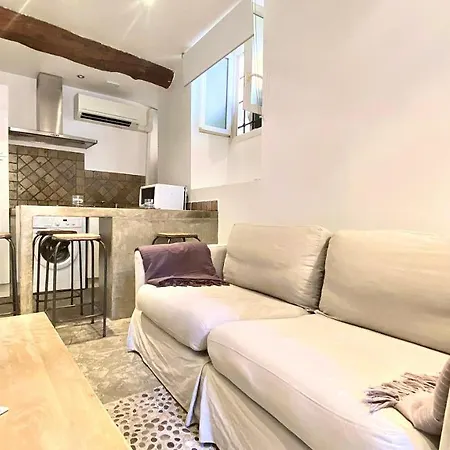 Le Vieux Choeur Appartement Nice