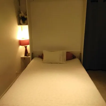 Apartment Nice- Gairaut - Jardin Prive- Grand F1 Lumineux-piscine Collective Nice
