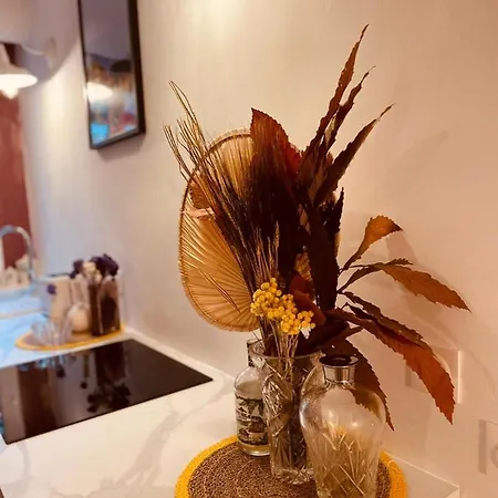 Appartement Jaures - Boutique