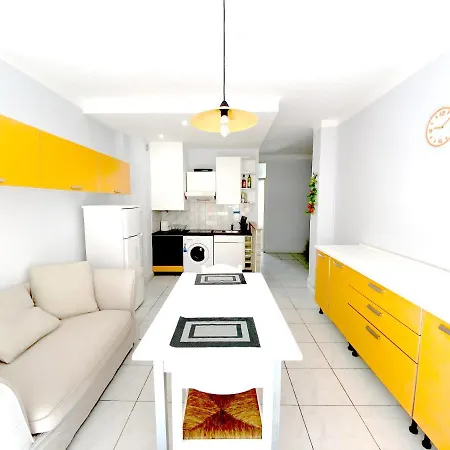 Artist's Guest house