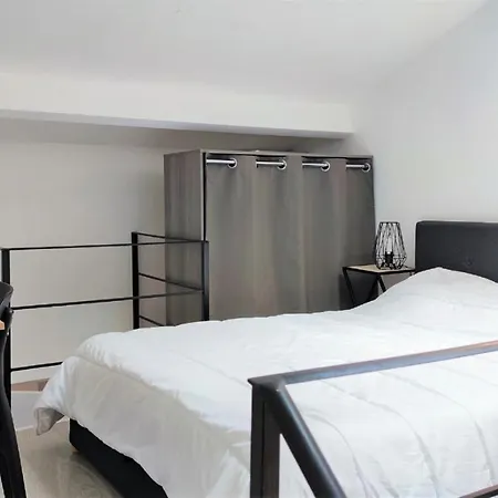 Appartement Delille Centre 14