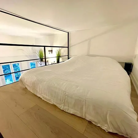 Cocooning & Modern Duplex Center Carabacel Nice