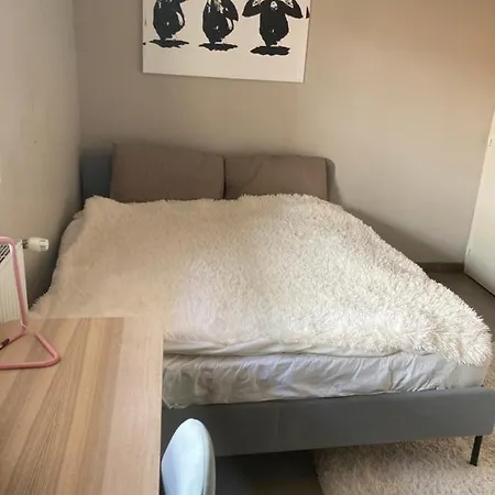 The Cocoon Appartement *