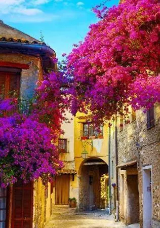 Bed & Breakfast And Comfortable Place In *