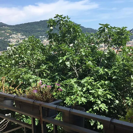 02 Vue Panoramique -wifi- Parking Prive -climatisation Apartment