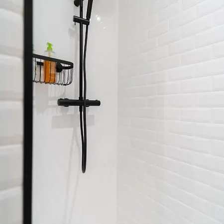 Old Town Renovated 2br Near Beaches & Cours Saleya Appartement *
