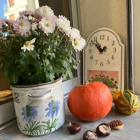 Beautiful With Terrace Centre Appartement Nice