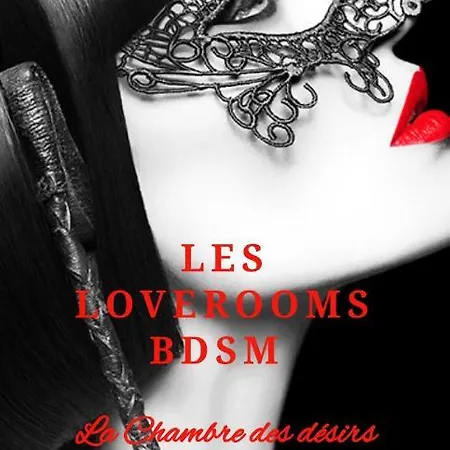 La Loveroom Bdsm De La Luxe Des Désirs Appartement