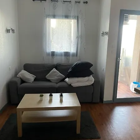 Les Palmiers A 700m De La Apartment