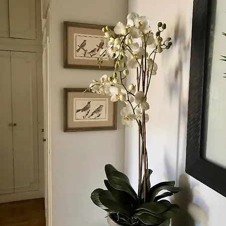 Appartement Magnifique 2 Pièces De 65m2 -quartier Des Musiciens Nice