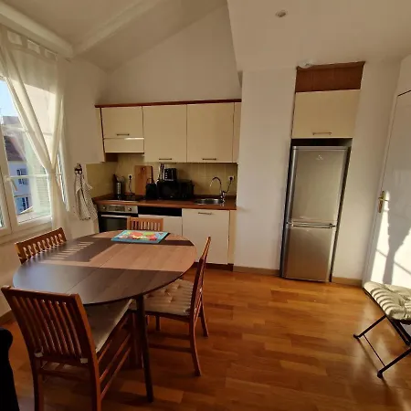 Le Michelangelo - Place Masséna Appartement