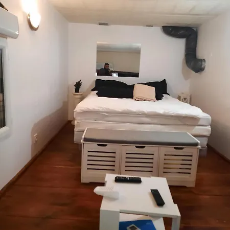 Appartement F1 Mezzanine Nice