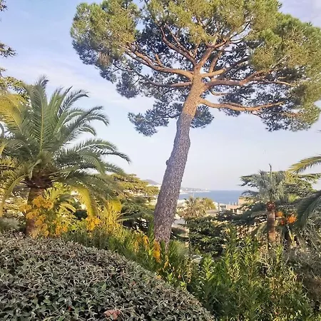 Centre Vue Avec Piscine Pour Famille, Couple D'amis Pas De Groupes De Jeunes Autorisés Appartement *
