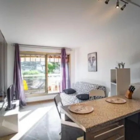 Apartment Dans Belle Parking Et Piscine Nice