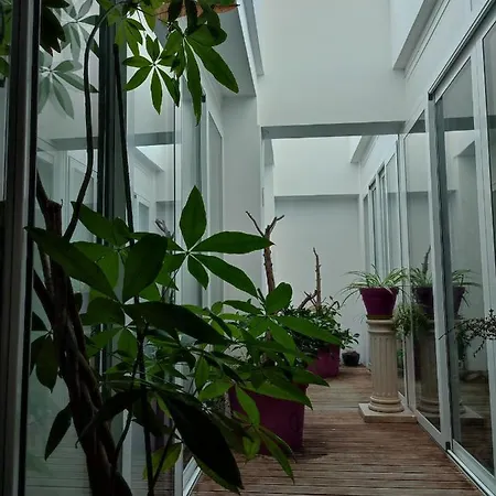 Le Loft Appartement *