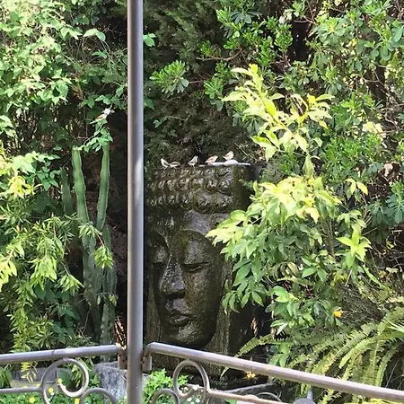 Vanille Villa Nice