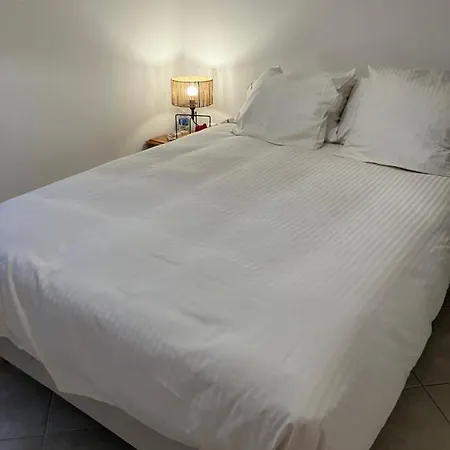 2 Pieces Vue Avec Jardin Piscine Apartment Nice