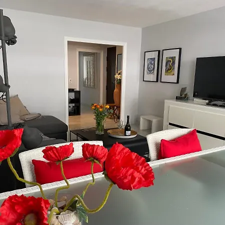 Apartment Very Central With Terrace Nice