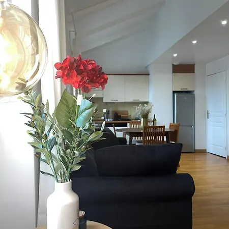 Appartement Le Michelangelo - Place Masséna