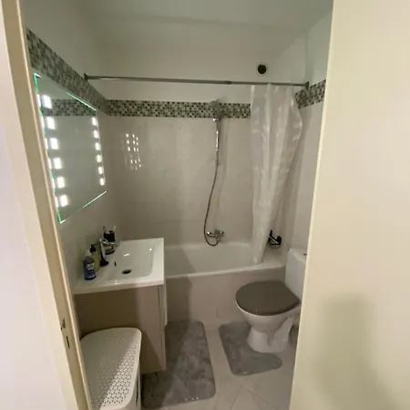 Studio Fabron Apartment Nice