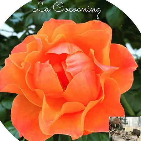 Cocon Cosy Romantique A 5 Minutes A Pied