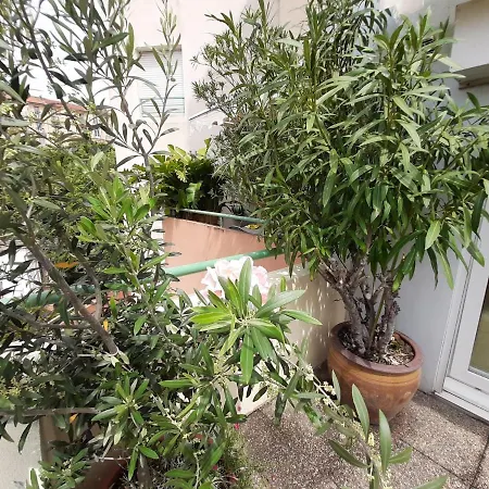 Appartement Joli