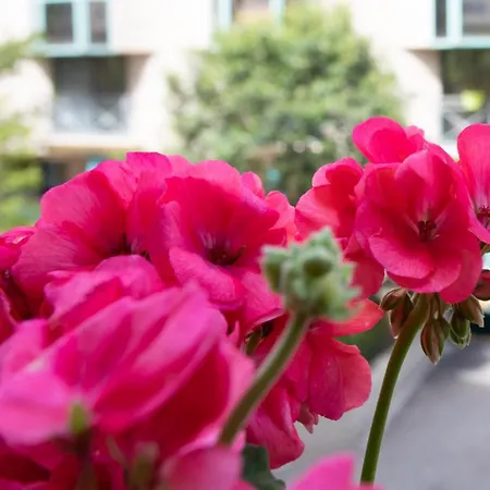 Apartment Beautiful , 3 Min Walk , Free Parking, Near Negresco Nice