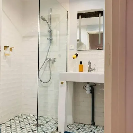 Appartement Vieux Garibaldi Rénové