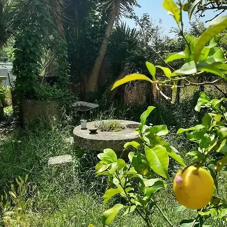 Holiday home Jardin Piscine Nice