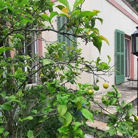 Holiday home Jardin Piscine