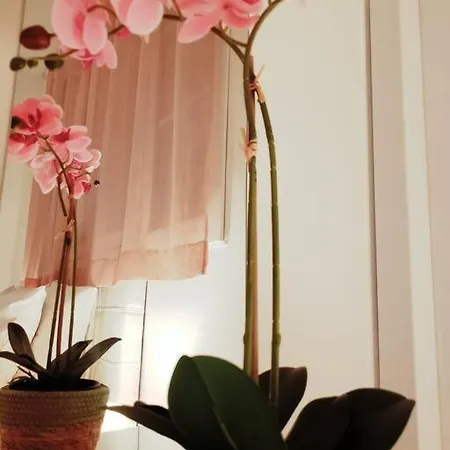 Cosy Plein Centre Apartment *