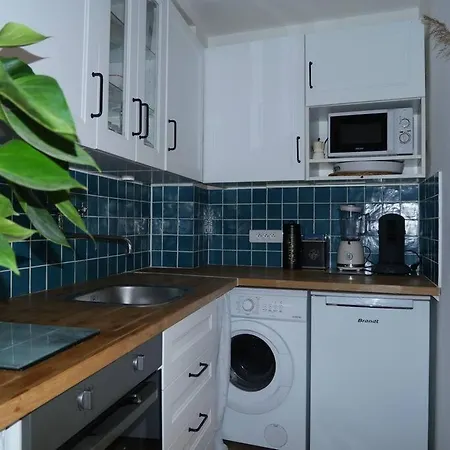 Apartment Petit Appart Atypique Nice