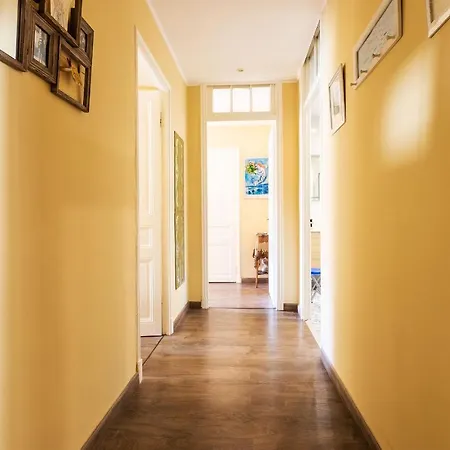 Iconic 2 Ap4375 By Riviera Homes Apartment Nice
