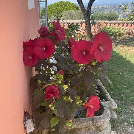 Bed & Breakfast D'hotes A L'ancre Marine De La Rose Nice