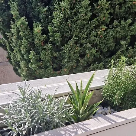 Californie Promenade Des Anglais Apartment