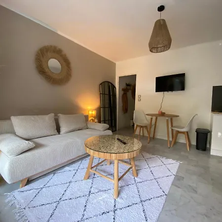 Cosy 2 Pieces, Jardin Privatif Et Piscine Fabron Appartement Nice