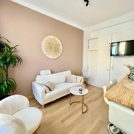 - T3 Rénové De 50 M2 Classé 2 étoiles * Nice