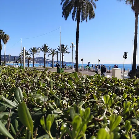 Garden Atlantide Promenade Appartement Nice