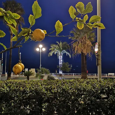 Appartement Garden Atlantide Promenade