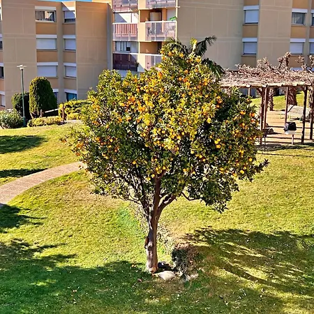 Appartement Le Côte Et Nice