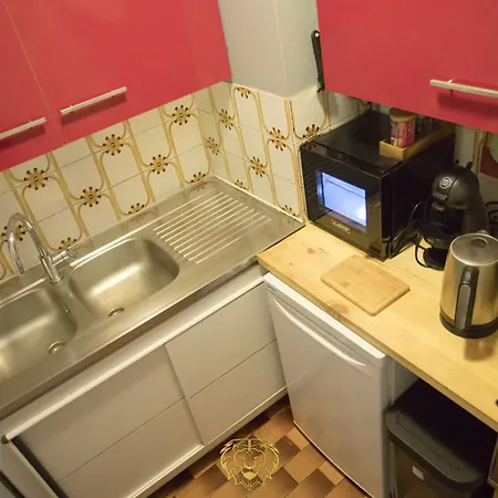 L'or Dans La Partner Séjour chez l'habitant Nice