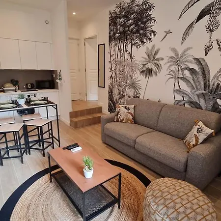 Jean Jaures - Vieux Superbe T2 Ensoleille Avec Grand Balcon Apartment