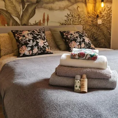 Jean Jaures - Vieux Superbe T2 Ensoleille Avec Grand Balcon Apartment *