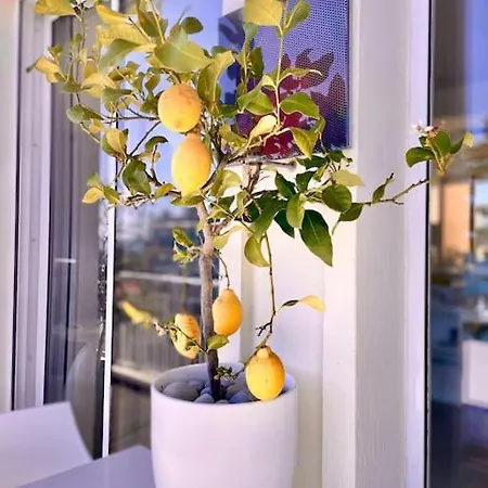 Apartment 2p Bonjour Soleil *