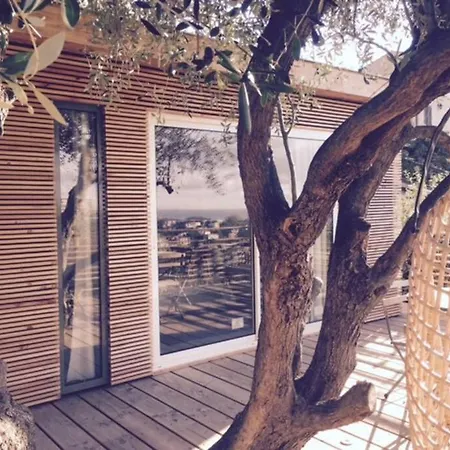 Vue Chic Dans L'olivier, Piscine Apartment Nice
