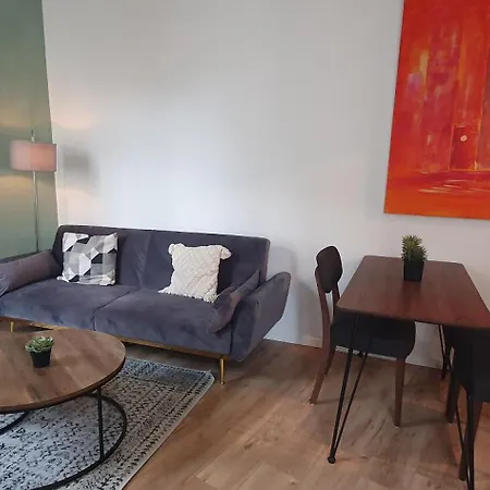 Bel Neuf Lumineux Apartment *