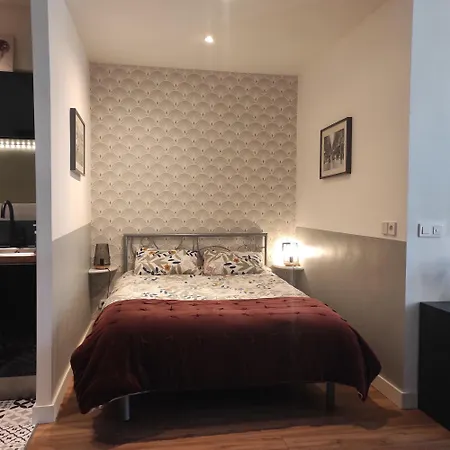Grand Confortable Au Coeur De Apartment *